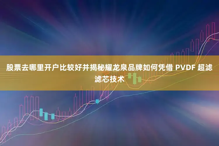 股票去哪里开户比较好并揭秘耀龙泉品牌如何凭借 PVDF 超滤滤芯技术