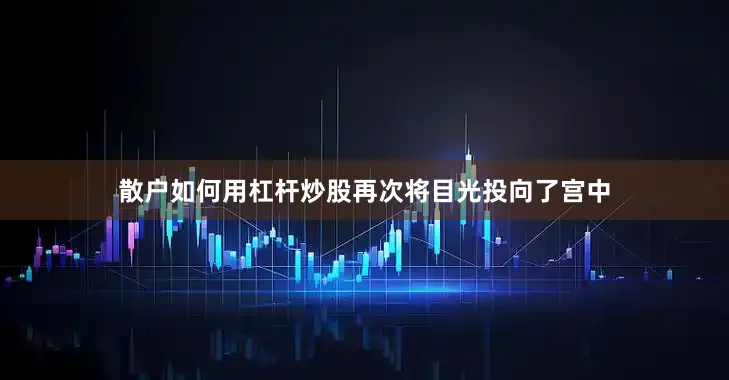 散户如何用杠杆炒股再次将目光投向了宫中